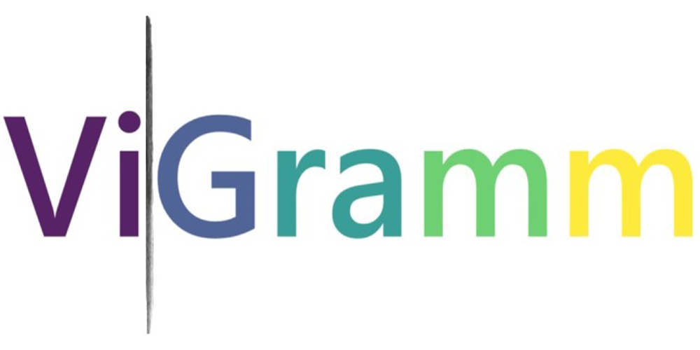 ViGramm - Center of Modeling, Simulation and Interactions (MSI)